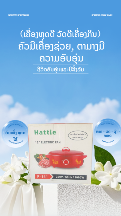 Electrical appliances